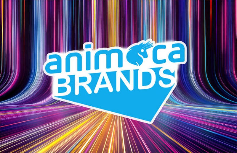 Is Animoca Brands positioned for long-term success, or are the risks too high?